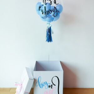 Gender Reveal Surprise Box