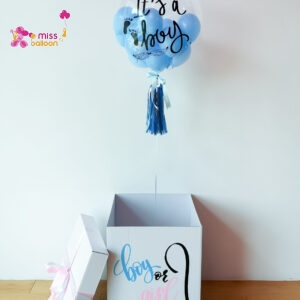 Gender Reveal Surprise Box