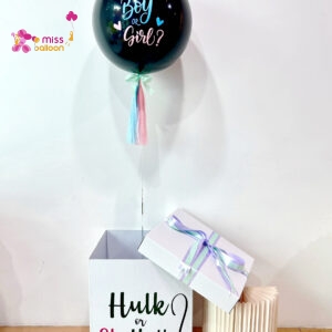 Gender Reveal Surprise Box (B)