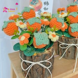 Lucky Persimmon Crochet Flower Pot